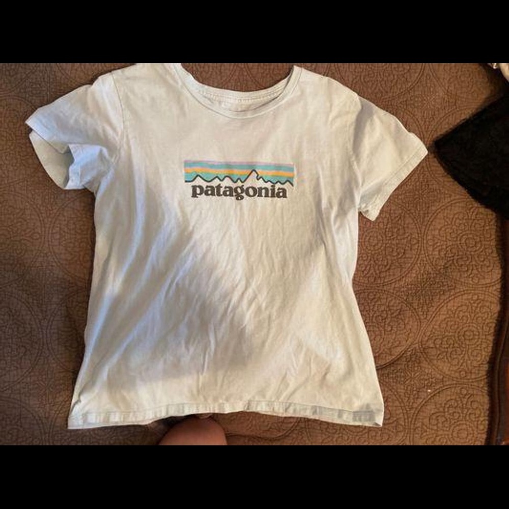 Patagonia Tshirt